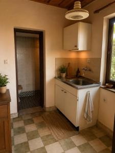 a kitchen with a sink and a shower at Weekendica in Fokovci