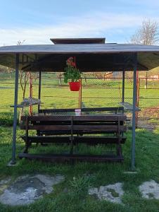 a bench under a pavilion with a potted plant at Căsuța de vacanță in Bogata