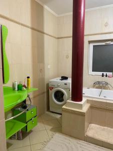 a bathroom with a washing machine and a sink at Літо in Bushtyno