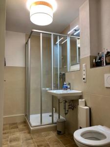 a bathroom with a shower and a sink and a toilet at Ferienpark Vorauf Fepark 53 in Siegsdorf