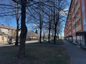 a group of trees sitting next to a building at Karusselli beach home, free parking in Pärnu