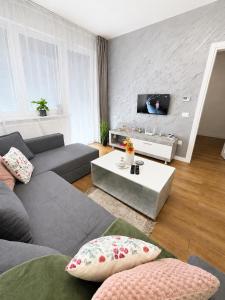 a living room with a couch and a tv at Apartment VIP in Subotica