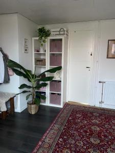 a living room with a potted plant and a door at Isomegård Väte Gotland in Klintehamn
