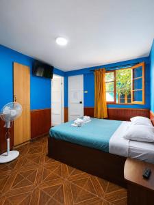 a bedroom with a bed with blue walls and a window at Hotel Illariy Wasi in Arica