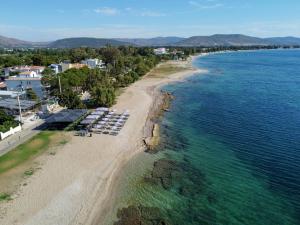 an aerial view of a beach and the ocean at Vottas Seaside House Nea Makri in Nea Makri