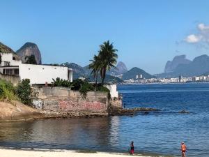 a body of water with a palm tree and mountains at Dream Home Icaraí Niterói in Niterói