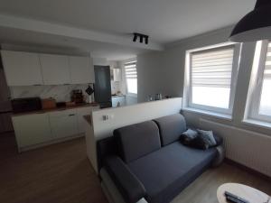 a living room with a couch and a kitchen at Apartament Na Głucho in Nysa