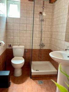 a bathroom with a toilet and a shower and a sink at A & D Houses No2 in Patra +16 photos