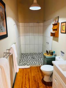 a bathroom with a shower with a toilet and a sink at RHOOM in Burgersdorp +46 photos