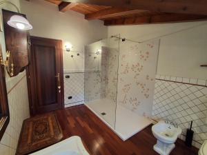 a bathroom with a shower and a toilet and a sink at B&b Villa Giò in Cremeno