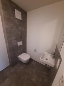 a bathroom with a toilet and a sink at Zimmer 2, Haus der Begegnung in Goldingen