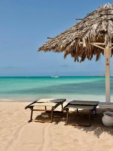 two benches on a beach with an umbrella and the ocean at Mistura Fina in Sal Rei