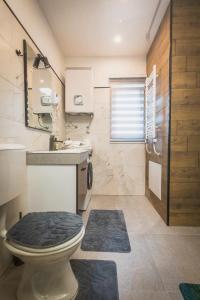 a bathroom with a toilet and a sink and a shower at G apartments in Gevgelija +35 photos