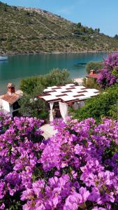 a picnic table with purple flowers in front of a lake at Apartments Bulovic Bozo Ap1 in Podglavica