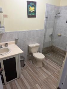 a bathroom with a toilet and a shower and a sink at Mary Vilaseca in SJM +8 photos