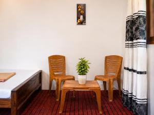 a room with two chairs and a table with a potted plant at Haputala Blossom guest in Haputale +39 photos