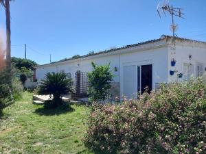 a white building with a garden in front of it at La Rana Azul in Vélez-Málaga