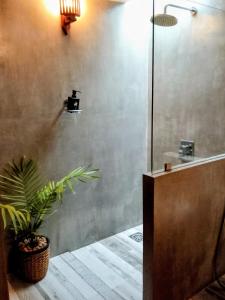 a bathroom with a shower with a plant in it at Onadi House in Galle +53 photos