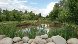 a pond with rocks in front of a park at Balta Roșie in Râu de Mori