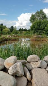 a pile of rocks in front of a river at Balta Roșie in Râu de Mori