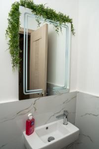 a bathroom with a sink and a mirror at Green Stone lamela B in Rafailovici +96 photos