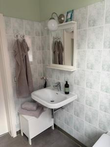 a bathroom with a sink and a mirror at Apartment Am Gondelteich in Bad Elster +10 photos