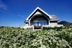 a house on top of a hill with white flowers at BanPim Beachside Lofoten in Ramberg