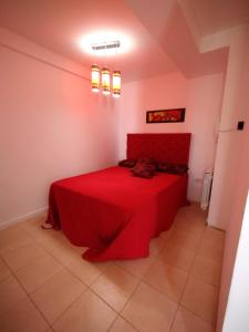 a red bed in a room with a red bedspread at Dptos CipoTerra in Cipolletti