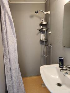 a bathroom with a sink and a shower curtain at Apartment with some lake view in Sävsjöström
