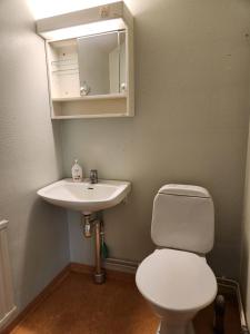 a bathroom with a white toilet and a sink at Apartment with some lake view in Sävsjöström