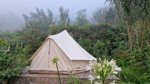 a teepee tent sitting in the middle of a field at Arambha ecovillage farmstay in Tábua