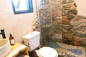 a bathroom with a stone shower and a toilet at Casa Nativa in Mendoza +17 photos