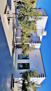a reflection of a tree in the side of a building at استراحة الوداد in Qurayyah