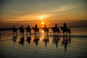 a group of people riding horses on the beach at sunset at Traveler Rooms in Rødby