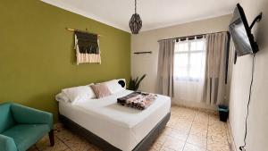 a bedroom with a bed and a television and a chair at Lool Beh Hostal in San Miguel de Allende