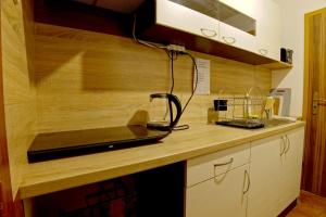 a kitchen with a wooden counter top with a sink at U Certa in Čerčany