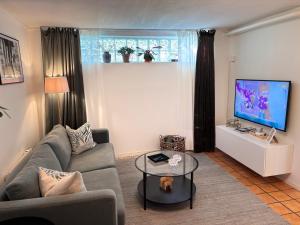 a living room with a couch and a tv at Sundsvall By M - Basement Studio in Sundsvall