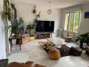 a living room with a flat screen tv and plants at Mathéro in Saint-Pair-sur-Mer