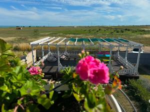 a bunch of bleachers in a field with a pink flower at Guest house FantasY in Tyulenovo