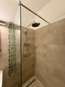a shower with a glass door in a bathroom at Müller's 2 in Siófok