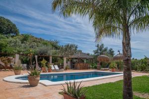 a swimming pool in a yard with a palm tree at Finca Valle Verde in Alora