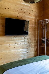 a bedroom with a television on a wooden wall at Bosquet Secret in Froid-Chapelle