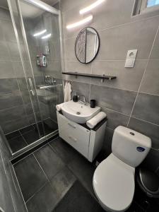 a bathroom with a toilet and a sink and a shower at Csillag Vendégház in Debrecen
