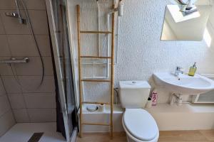 a bathroom with a toilet and a sink at Spacious Loft - Quiet and Bright in Soultz-Haut-Rhin +12 photos