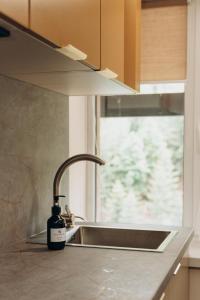 a kitchen sink with a bottle of soap next to a window at Hiking&Ski Hotel in Bukovel +91 photos