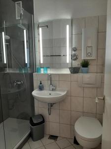 a bathroom with a sink and a toilet and a shower at Möwenhorst in Fehmarn +23 photos