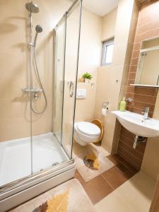 a bathroom with a shower and a toilet and a sink at SeaSideApartamn in Boreti