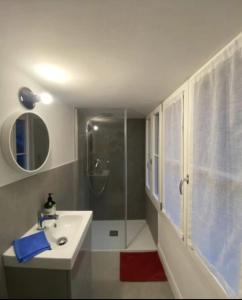 a bathroom with a shower and a white sink at Loft Library by Lago Maggiore Rentals in Oggebio +8 photos