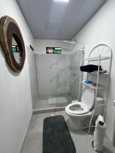 a bathroom with a toilet and a mirror at Hummingbird Haven in Uvita