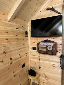a tv on the wall of a log cabin at Log Cabin in Blatina